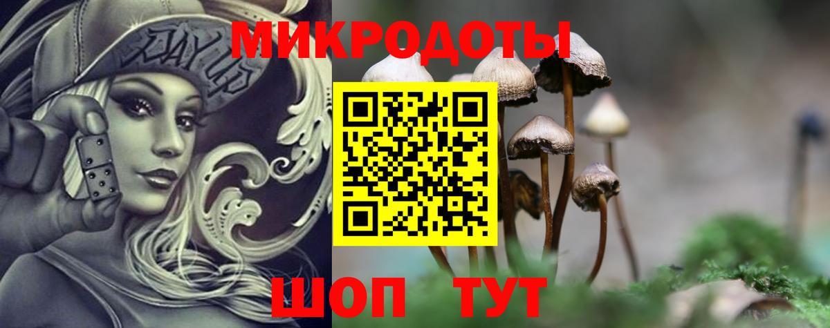 Псилоцибиновые грибы GOLDEN TEACHER  Вход с VPN  Кропоткин 